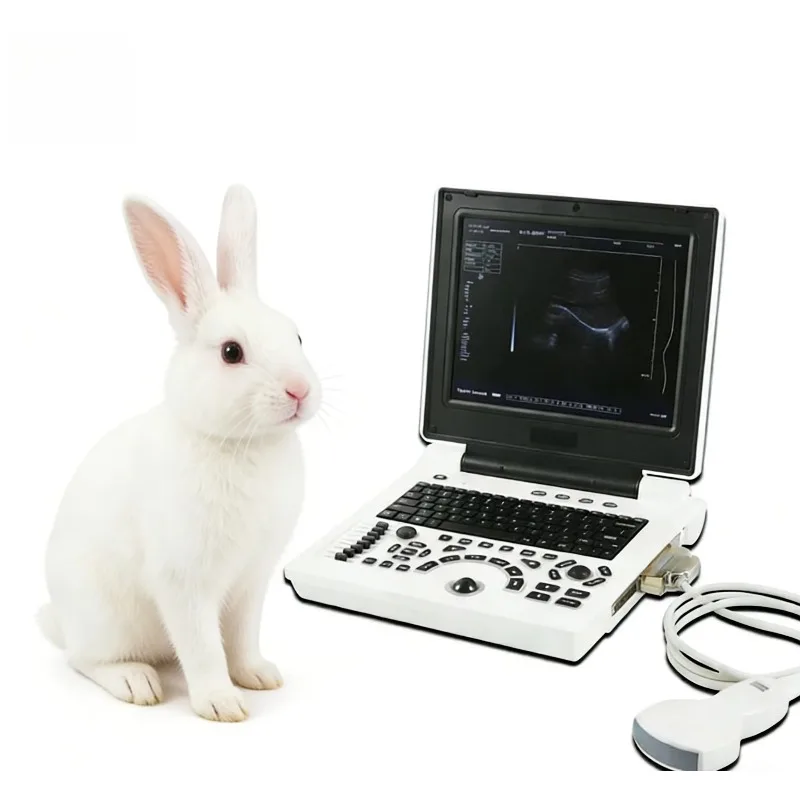 High Performance Portable Laptop Veterinary Ultrasound Scanner