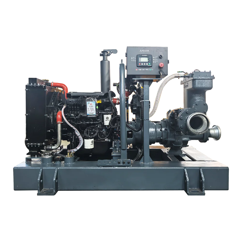 Pompa dell'acqua ad alta aspirazione per drenaggio minerario con generatore ad alto sollevamento a bassa energia