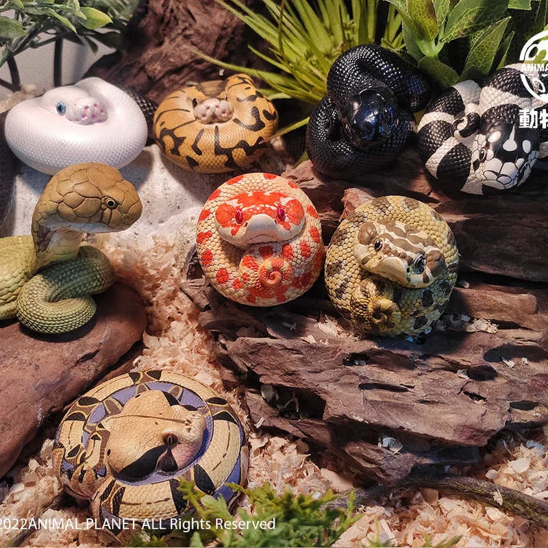 

Animal Planet Heart Wide Body Fat Series No. 5 Snake Crawler Pet Do Animal Model Toy Adornment Desktop Collection Ornament Gift