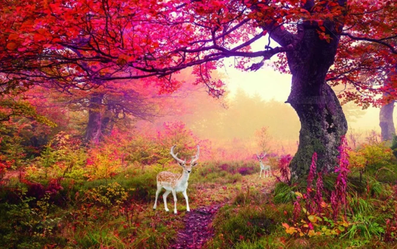 Self adhesive canvas material Photo wallpaper fantasy Nordic Flower Sea Elk Forest living room TV wall wall papers home decor