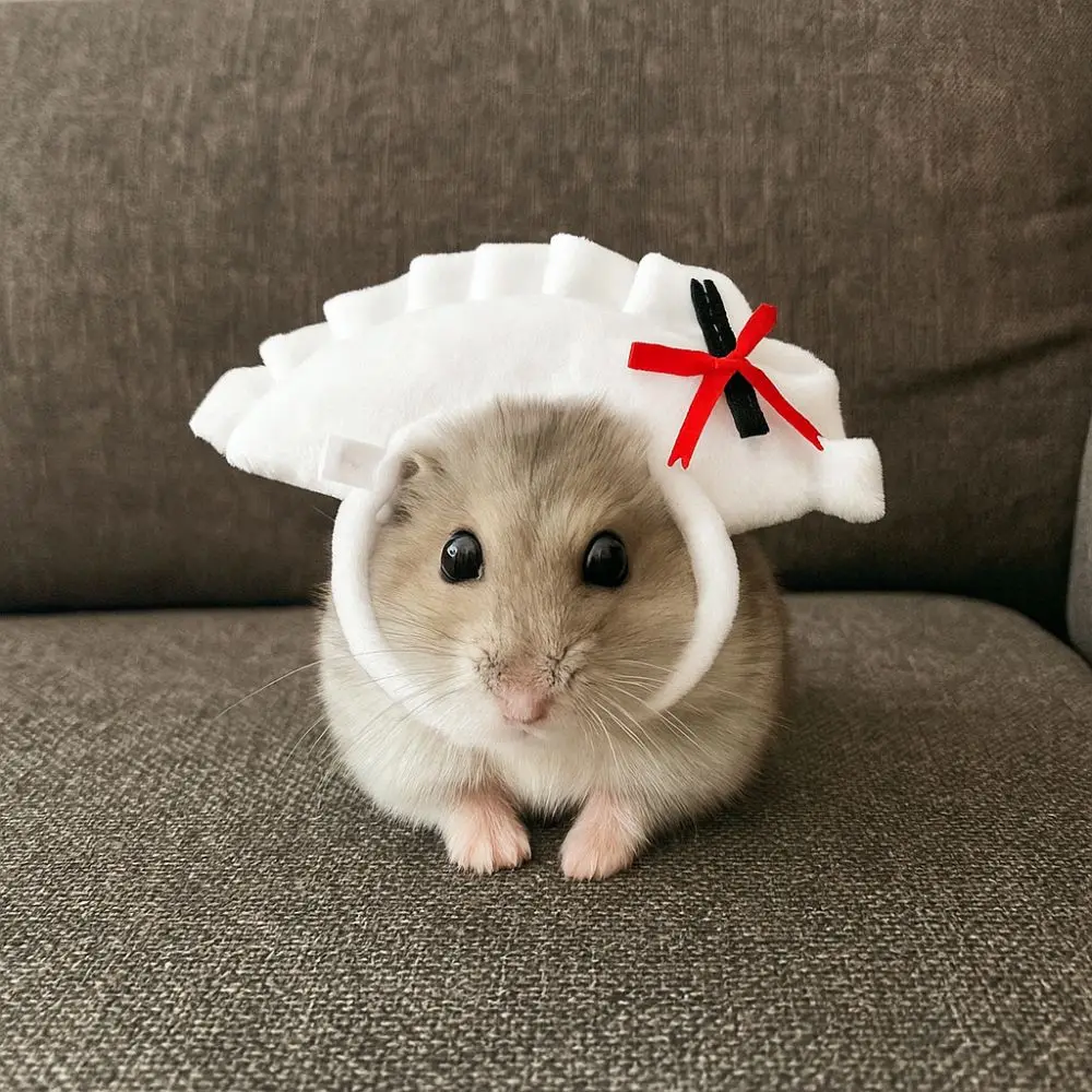 

Funny Cartoon Pet Dumpling Hat Decorative Adjustable Cat Head Covers Comfortable Breathable Puppy Dress Up Photography Shoots