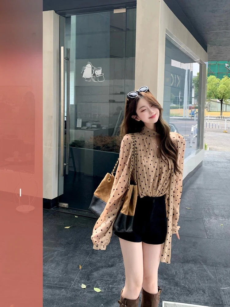 

Романтическая женская блузка в горошек с V-образным вырезом и длинными рукавами, винтажный стиль, из полупрозрачной ткани, для весенне-осеннего сезона, модная женская блузка