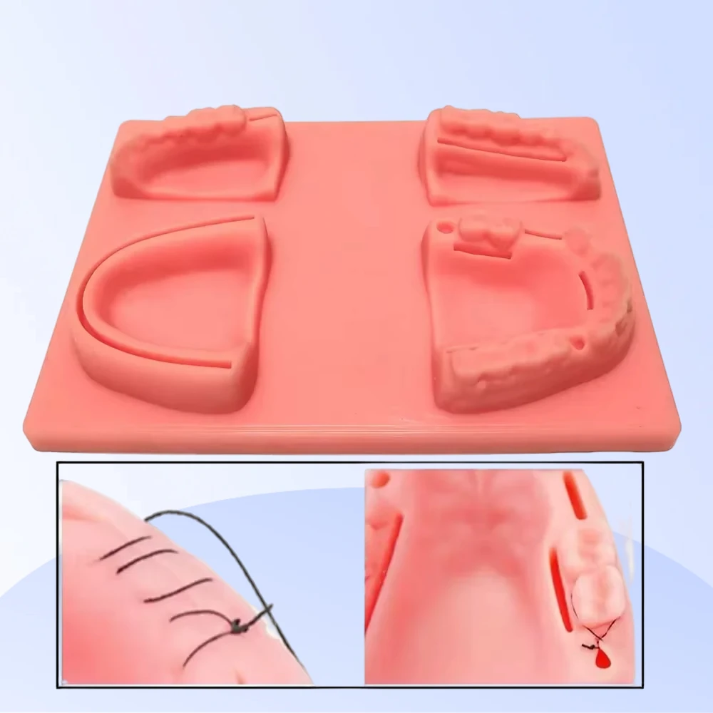 

Dental Suture Kit Oral Teeth Gum Suture Training Kit Surgical Practice Dental Wounds Kit Dentist Teaching Model Dental Tools