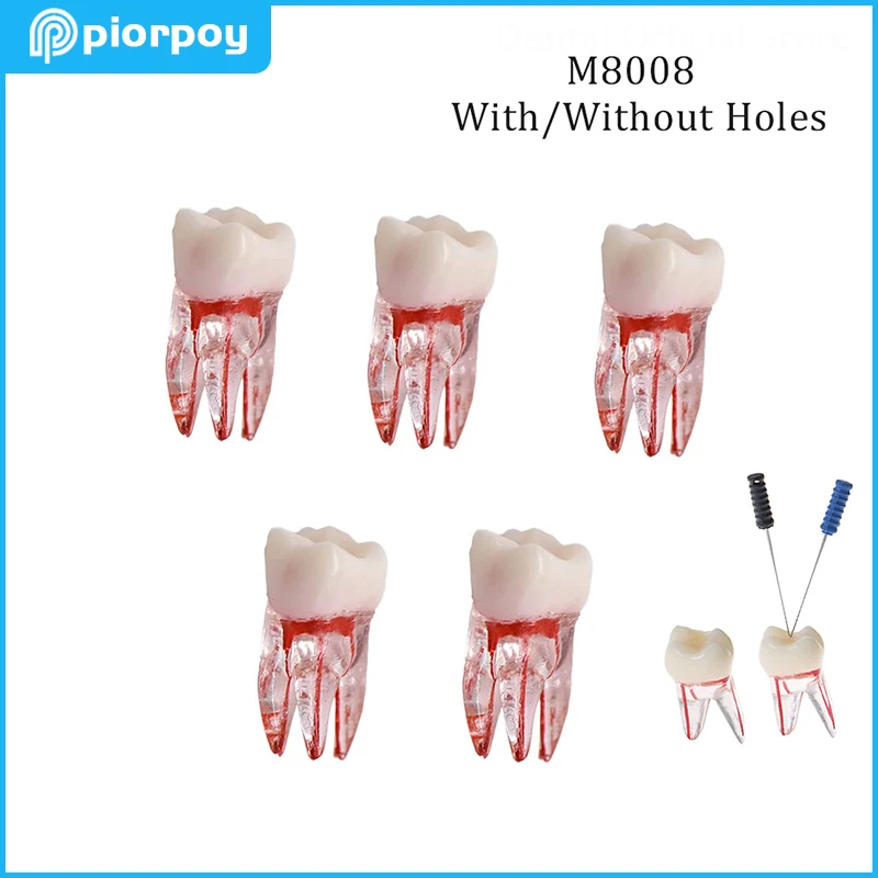 

5 Pcs Dental Teaching Model Endodontics Root Canal Block RCT Practice Pulp Cavity Dentistry Education Resin Endo Training M8008