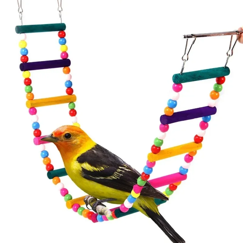 Ensemble de jouets pour oiseaux, balançoire, jouets d\'entraînement, petit perroquet, hamac, perchoir cloche, échelle, fournitures pour animaux de