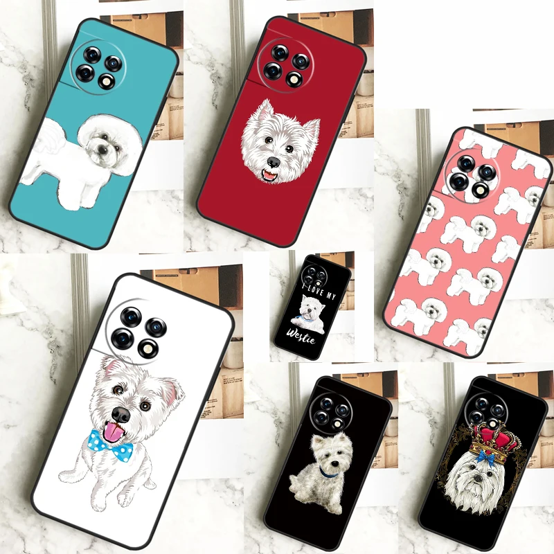 Maltese West Highla… - image