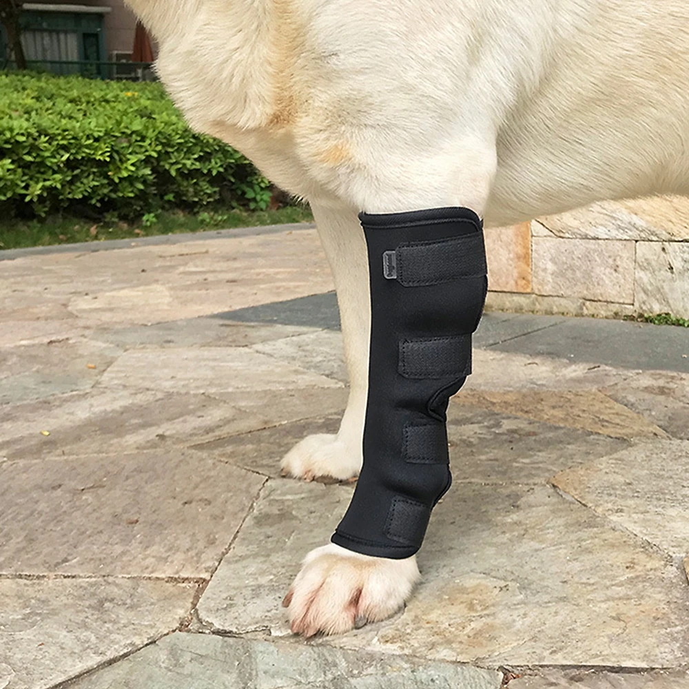 Breathable Dog Legs Protector Dog Support Brace Wrap Protector Dog Supplies Pet Knee Pads Puppy  Kneepad Dog Wrist Guard