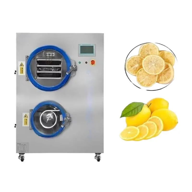 

Stainless Steel Automatic Freeze Dryer With Motor And Pump Small Household Hot Sale