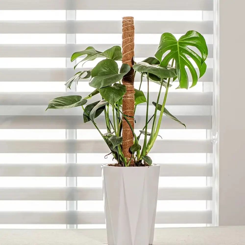 1Pcs Coconut Shell Moss Palm Cane Coir Totem Poles Stretch Gardening Coconut Rod Plant Climbing Frame Bendable 60/110cm