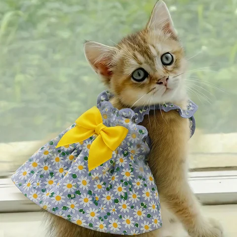 Sommar Bomull Sphynx Katt Hängslen Kjol Kärlek Blomma Husdjur Prinsessklänningar för Katter Gotas Katten Kedi Hundklänning Maskottkläder 8 best sales kattklänningar - №4