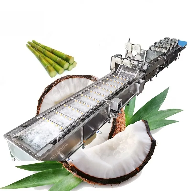 Vegetables and Fruit Processing Sugarcane Spray Cleaning Coconut Meat Washing Machine High Precision Food-Grade for Farms
