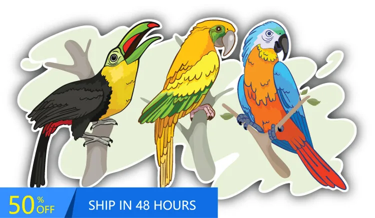 

Tropical Birds Aesthetic Bumper Boat Car Motor Home Waterproof Vinyl Decal Sticker Trendy Unique Cute Retro