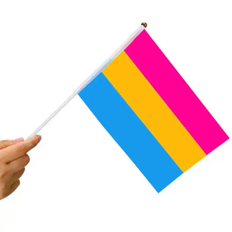 10 Pack Pansexual Flag Pansexuality Omnisexuality 14x21cm Polyester Printed Mini Stick Flagpoles Hand Held Pans Pride Flags