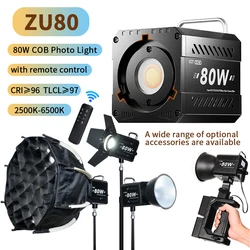 80W Dual Color Temperature COB Photography Light Professional LED Video Light Portable Lampshade Handheld Fill Light mini Bowens