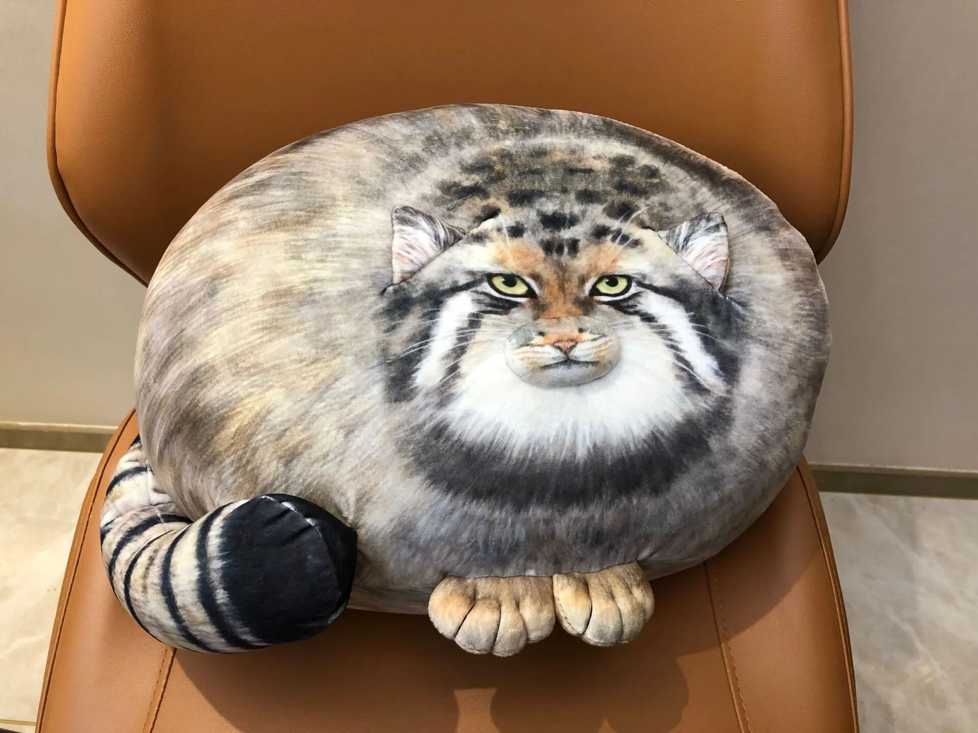 

For HG P407 accessory kit