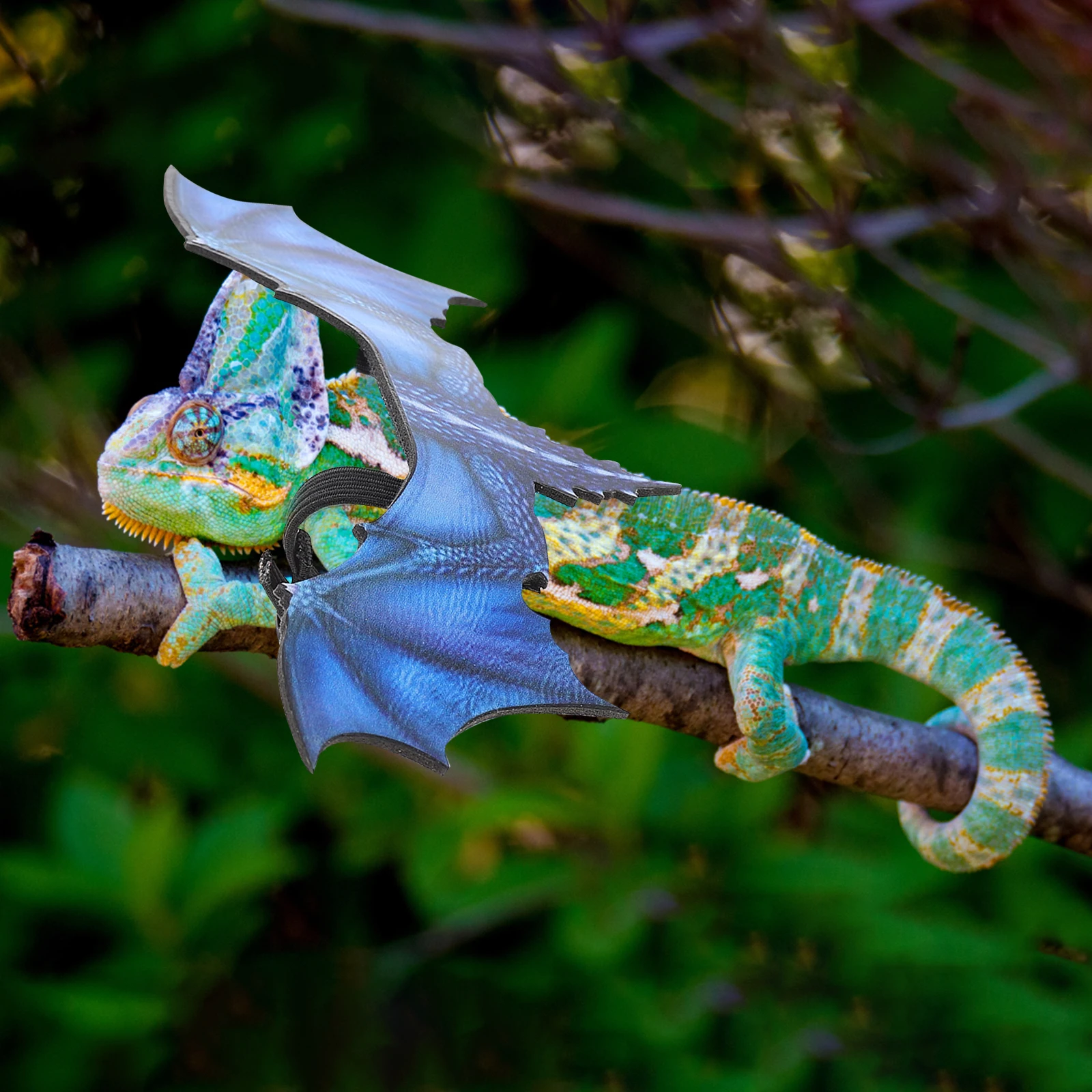 

Adjustable Reptile Harness Light Weight Wing Style Chest Strap for Lizards Bearded Dragons Iguanas Geckos Chameleons Pet Walking