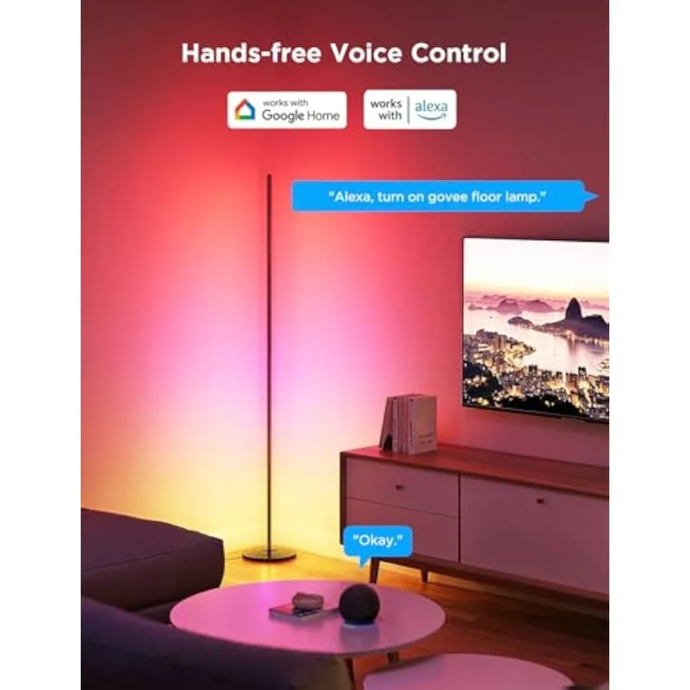RGBIC Floor Lamp 2-Pack, LED Lamp Compatible with Alexa, Smart Standing Lamp with Voice Control