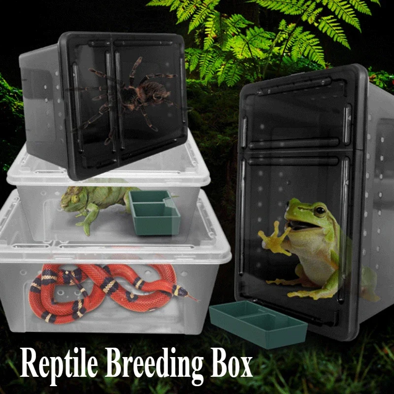 Reptile Breeding Feeding Box Transparent Insect Rearing Hatching Containers Habitat Cage for Spider Lizard Turtle Snake Frog