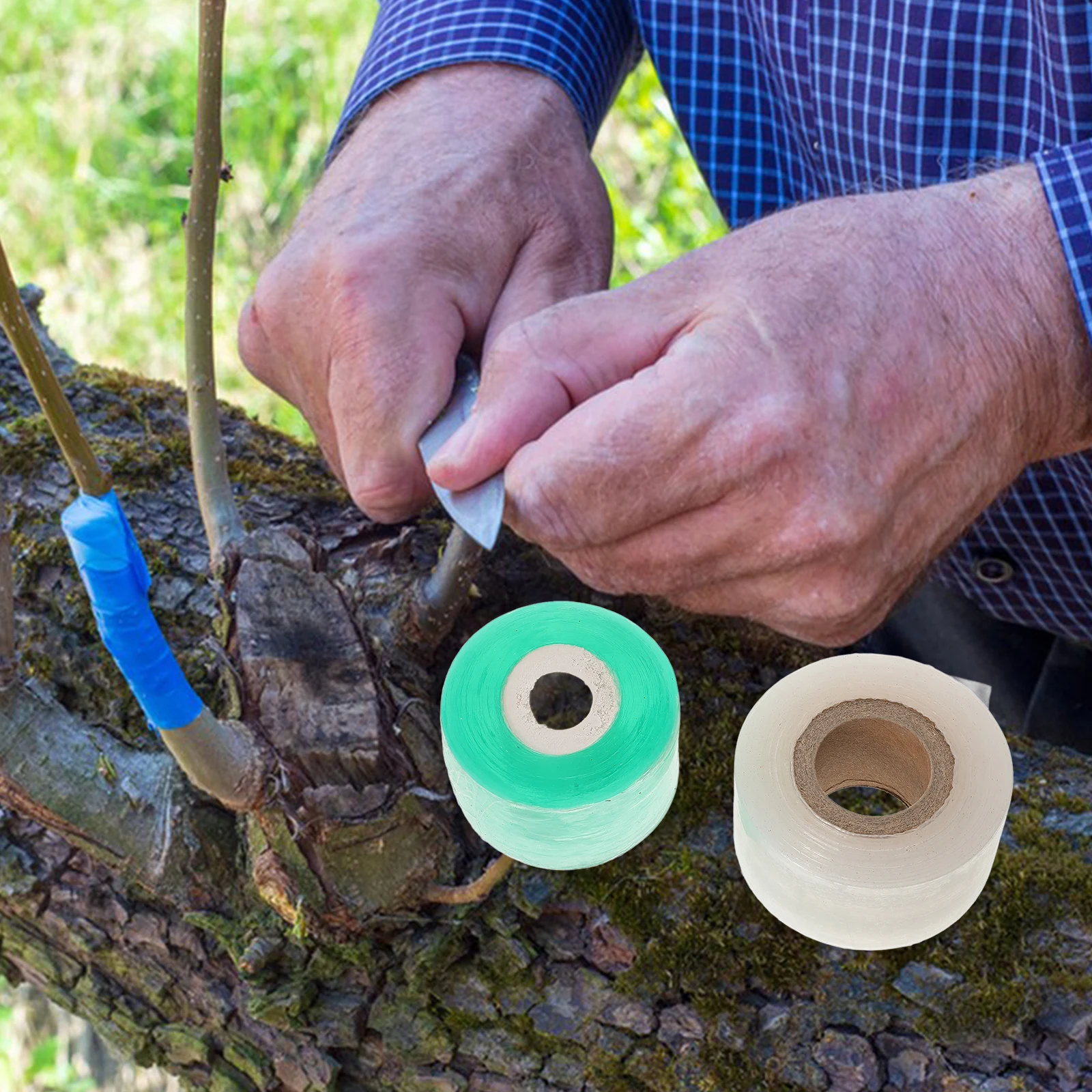 

4 Rolls Grafting Tape Transparent Self-Adhesive Plant Nursery Tool for Vegetables Citrus Flower Gardening Accessories Garden