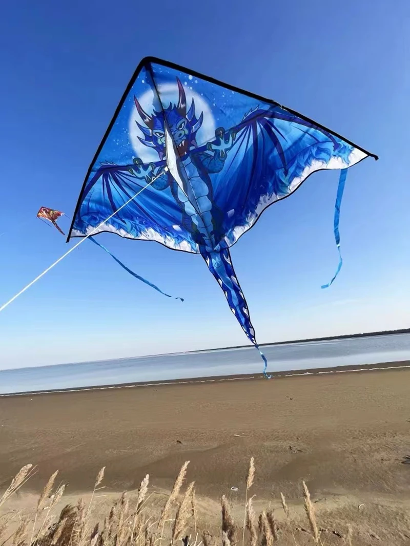 Cerfs-volants Dragon pour enfants, jouets volants, ligne d'aigle, usine de cerfs-volants colorés, cerf-volant professionnel, cerf-volant de kitesurf volant
