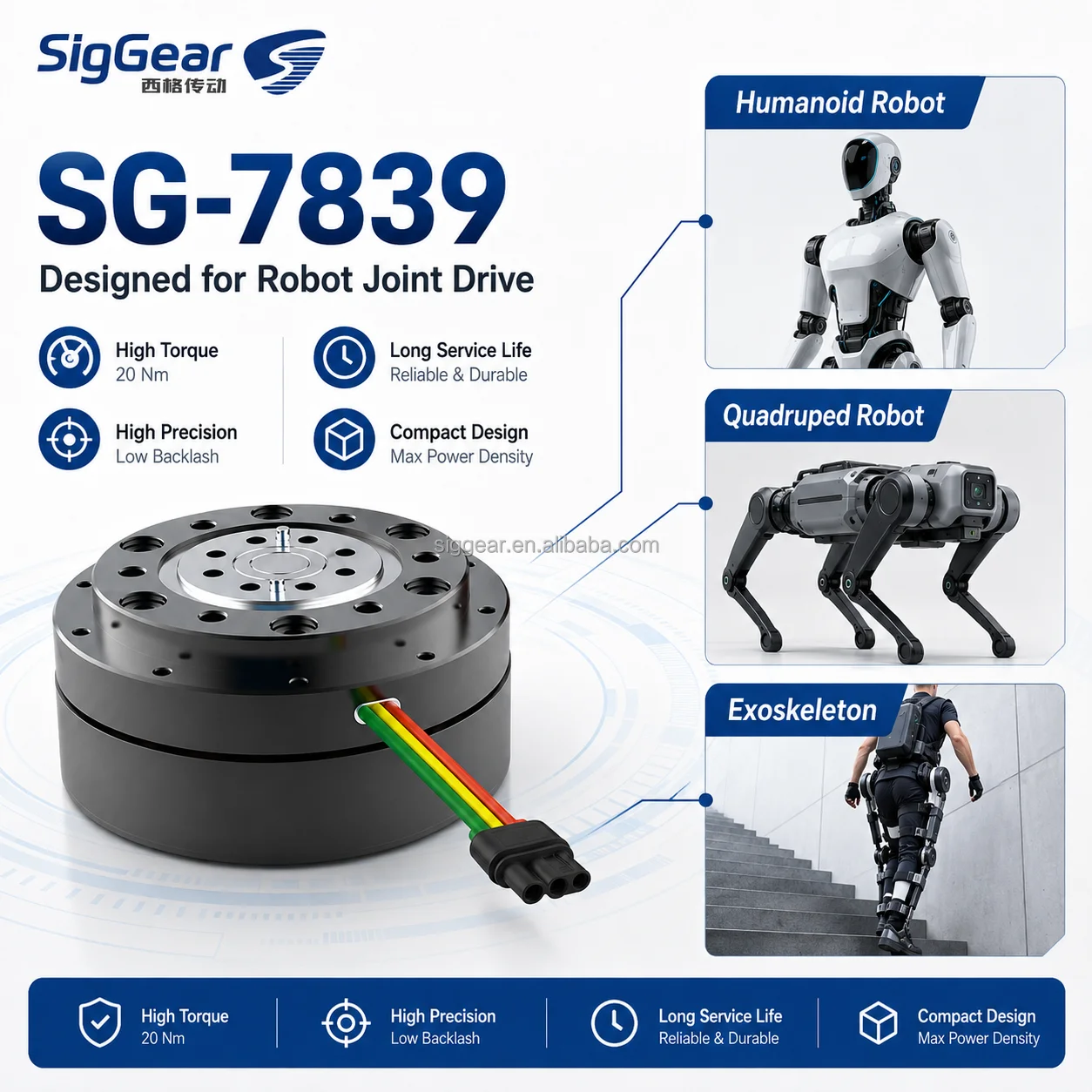 SigGear 20Нм 48 об/мин 36В цик – обзор и цена Cycloidal Reducer Bldc Motor