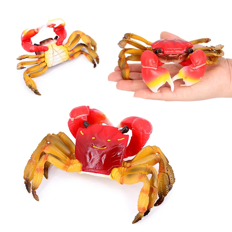 Simulated marine animal solid model hairy hairy crab children's early education cognitive toy ornament gift