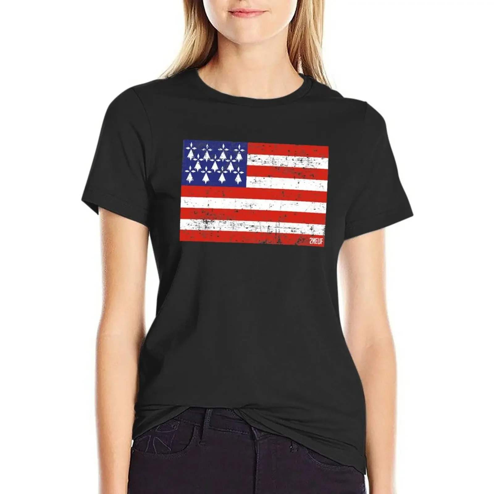 

BZH FLAG - [REMASTERED] T-Shirt customizeds graphics summer top quick drying western t-shirt dress for Women