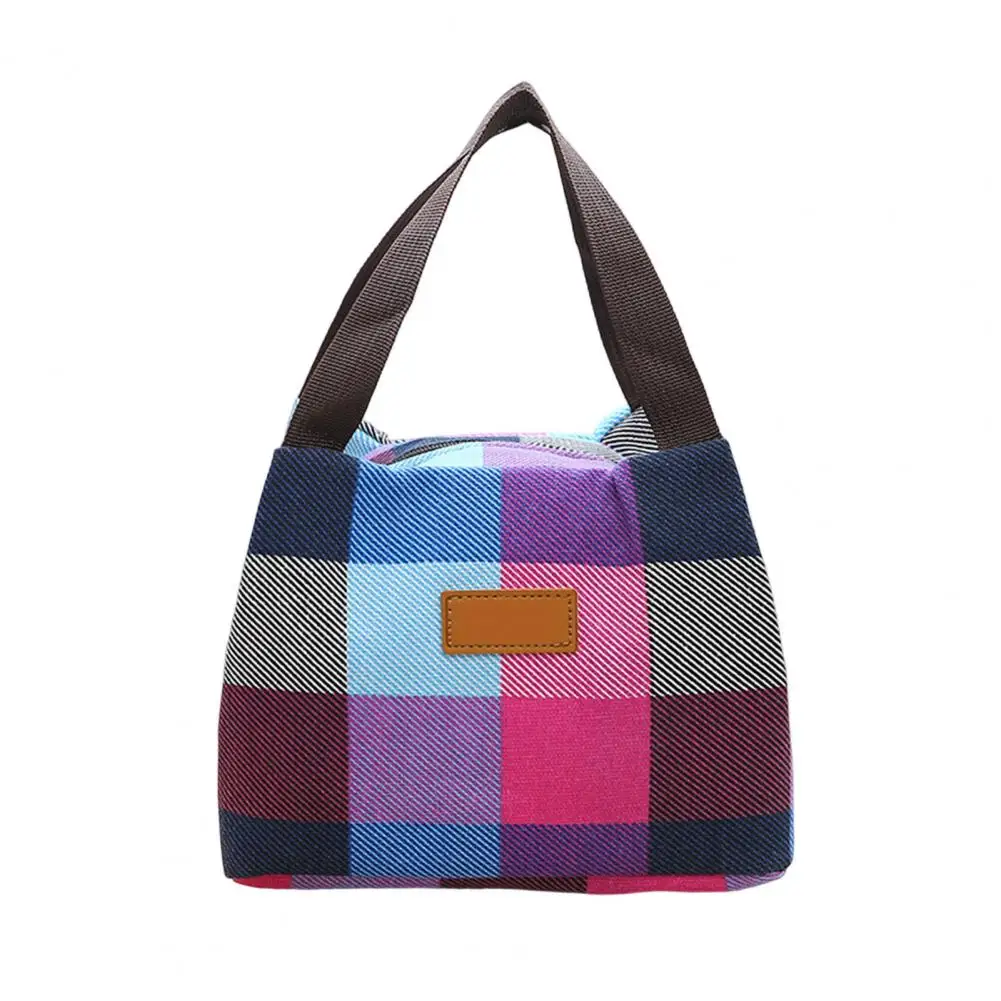 Colorful Plaid Lunch Bag Colorful Plaid Waterproof Lunch Bag Reusable Insulated Carrier Picnic Work Hiking Beach Lunch for Men