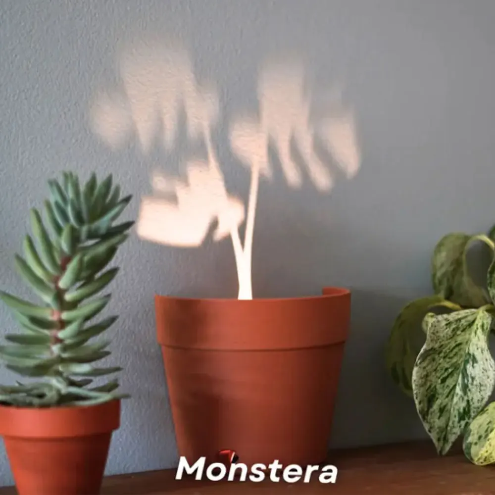 Creative Plant Pot Light Projections Indoor 7 Plant Shadows Projector Nightlights Black Hole Projection Lamp Home Decor