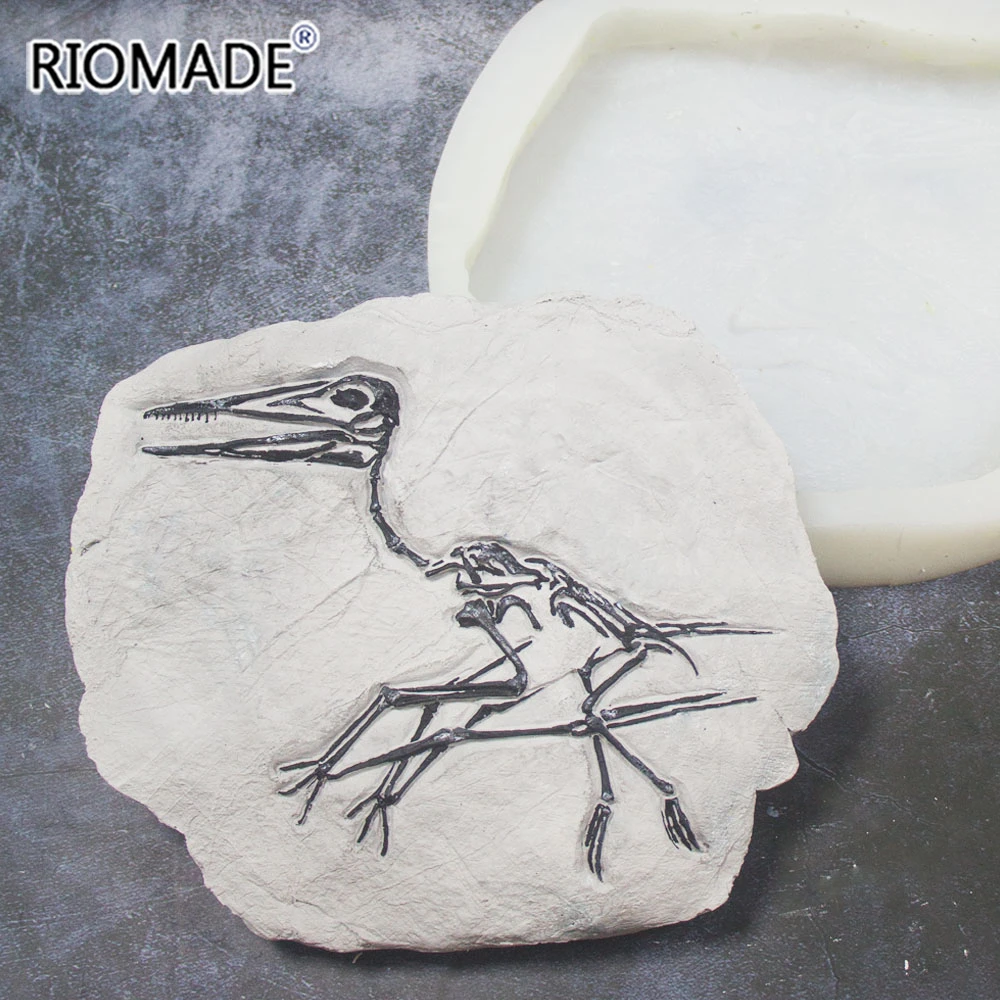 Pterosaur Fossils Style Silicone Mold DIY Hand Colored Decorative Tools For  Puzzle Game Coloring Gypsum Clay Mould