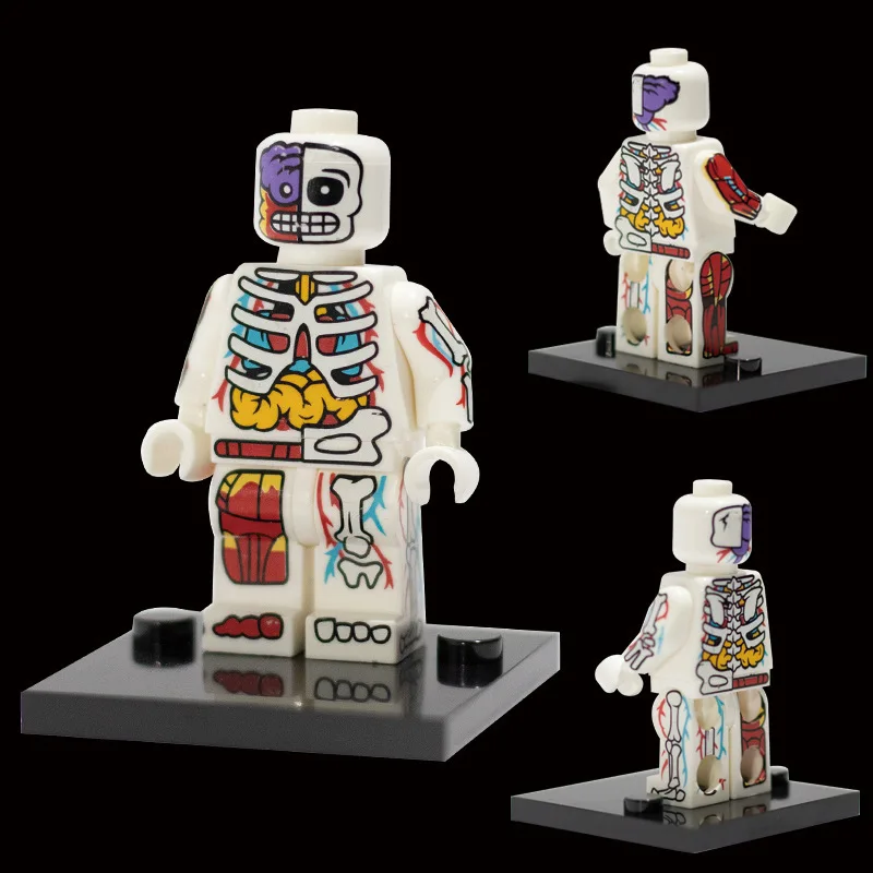 Cartoon Transparent Human Anime Muscle Anatomy Skeletal Bodys Action Figures Building Blocks Toys for Children Gifts