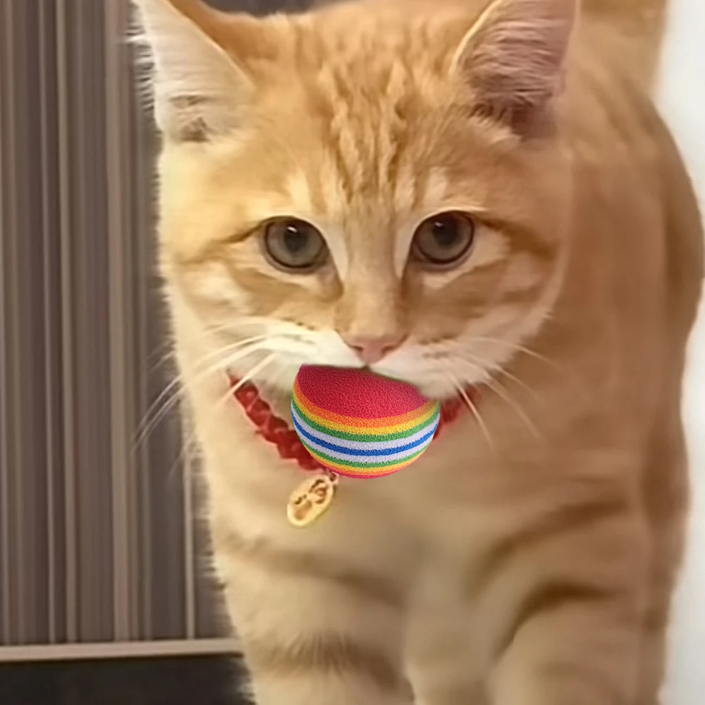 50/10Pc Colorful Cat Toy Ball EVA Bite-Resistant Elastic Rainbow Ball Kitten Puppy Chewing Training Interactive Toy Pet Supplies