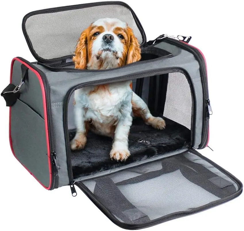 

Soft-Sided Pet Carrier for Small Dogs & Cats, Collapsible Airline Approved Travel Carrier