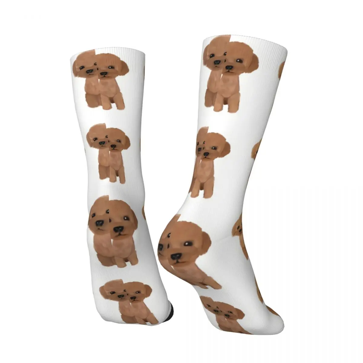 Poodle Cute Sitting Dog Men Women Socks Cycling Novelty Spring Summer Autumn Winter Stockings Gift