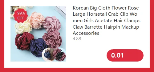 Small Size Shark Clip Ponytail Height Fixed Gadget Small Jaw Clip Bang Clip Accessories High Sense Clip Headdress Hairpin Female