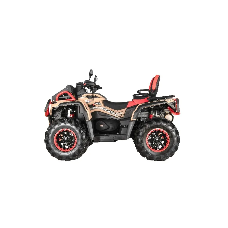 4 Wheel Buggy Automatic Transmission 4WD Equipped