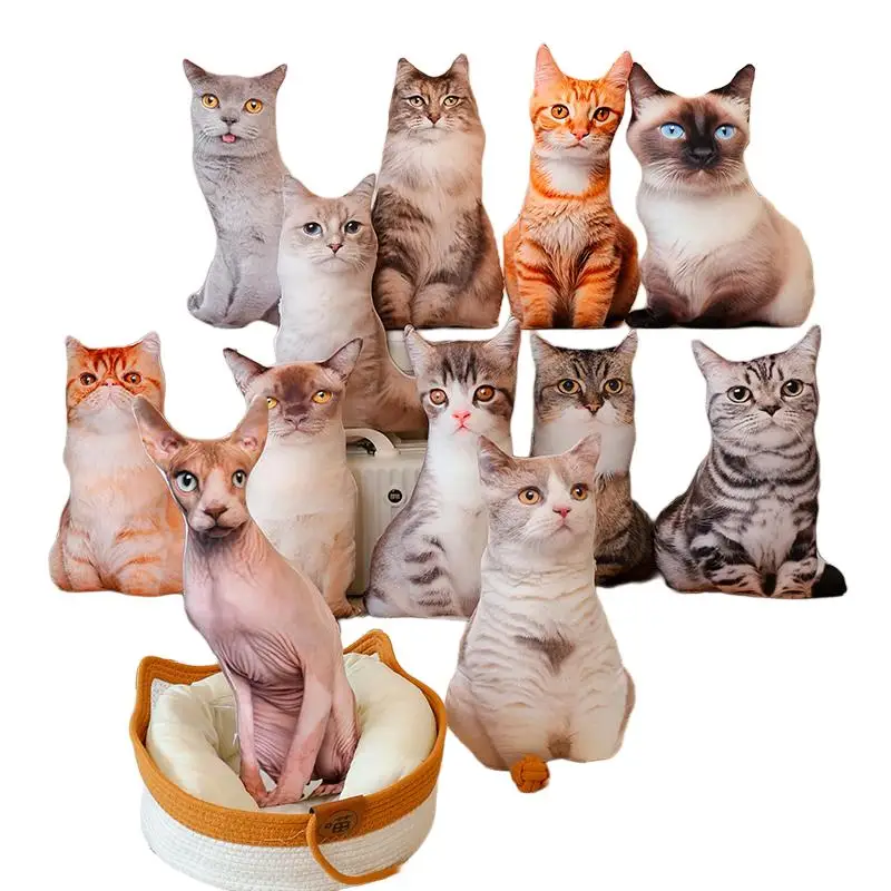 

48cm Cat Plush Pillow Stuffed Kitten Animal Soft Orange Maine Coon Siamese Shorthair Chinese Li Hua Ragdoll Cat Cushion Decor