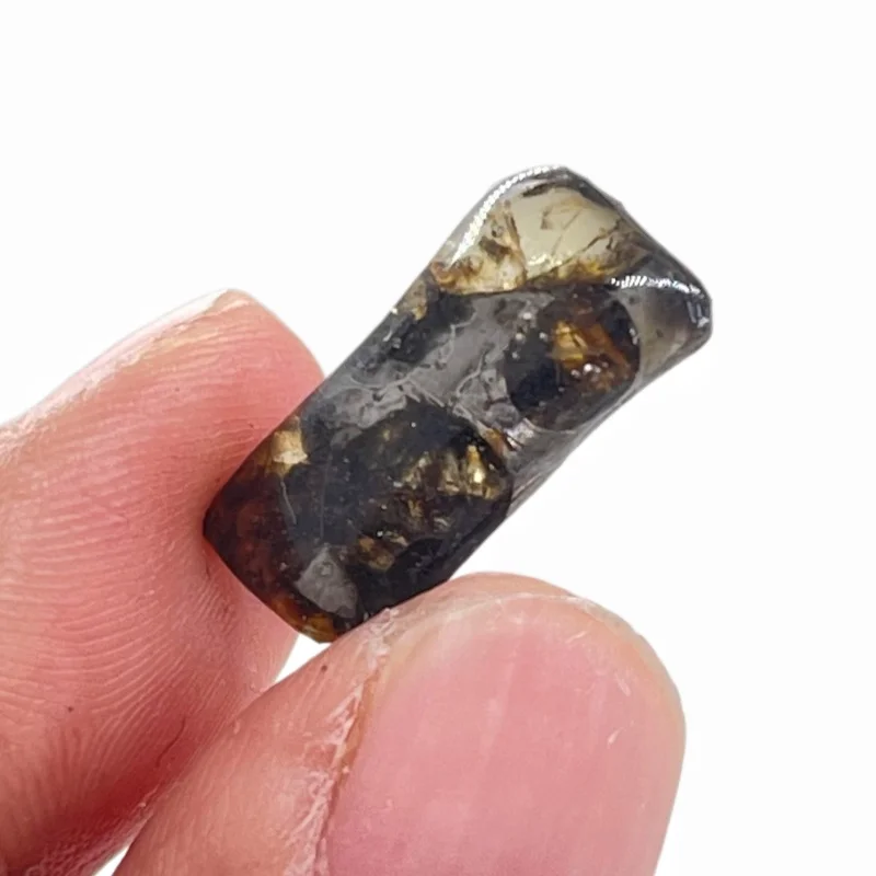 Sericho Pallasite Meteorite Irregular Specimen Natural Olivine Inclusion Polished Meteorite Slice Mineral Collection -TA856