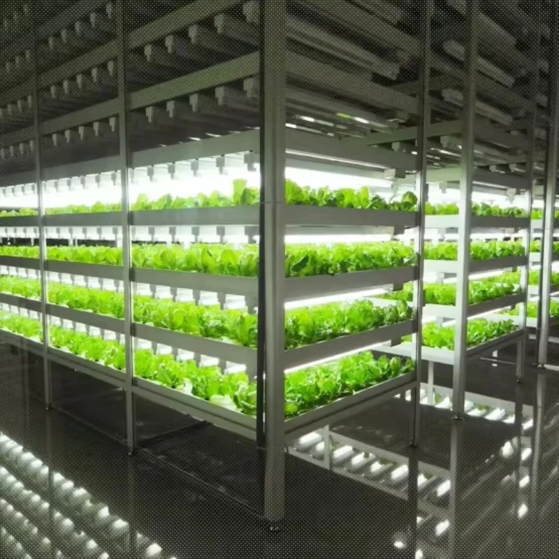 

A household vertical aquaculture pneumatic system greenhouse hydroponics garden agricultural vertical hydroponics