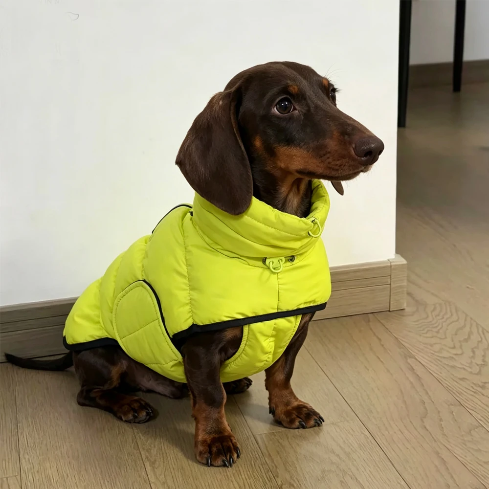 Chaqueta de invierno para teckel: abrigo cálido cortaviento fácil - imagen 5
