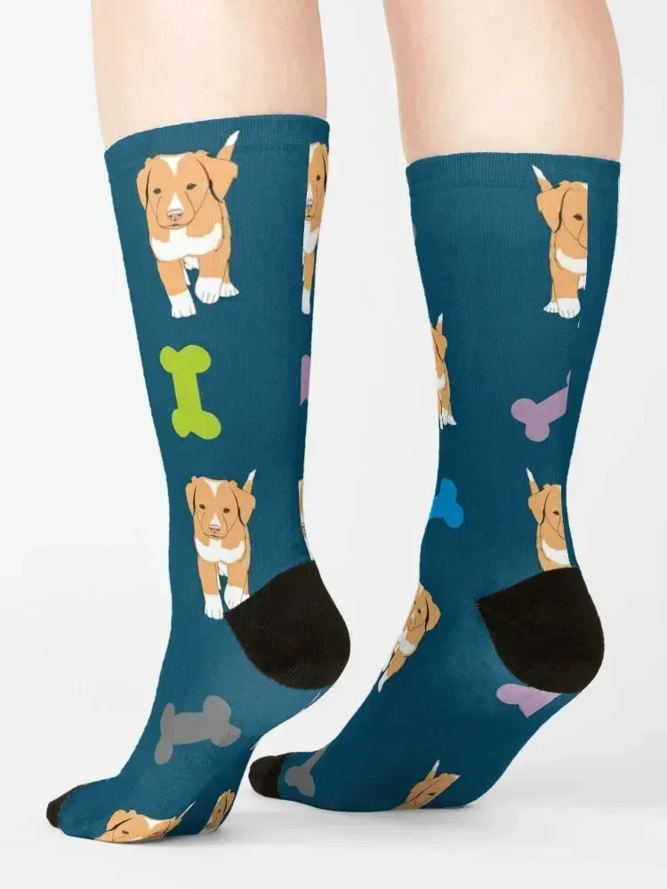 Nova Scotia Duck Tolling Retriever Pattern Socks Heating sock christmas gifts crazy bright garter Luxury Woman Socks Men's