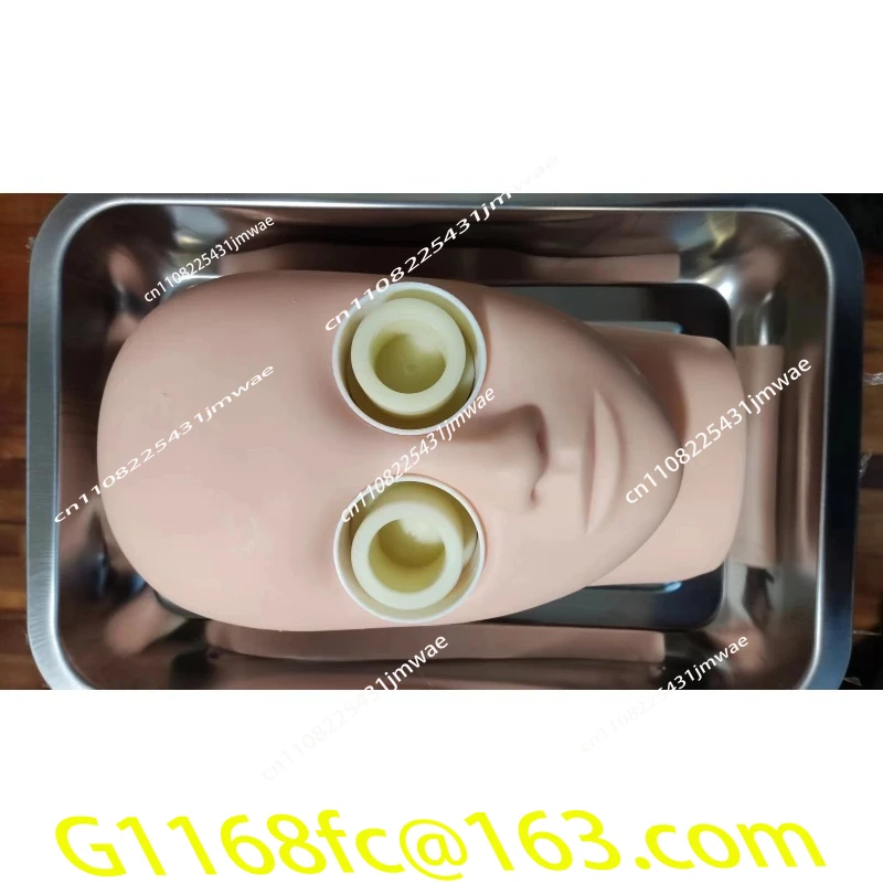 Genuine High-quality Professional Model Supplies for Animal Practice
