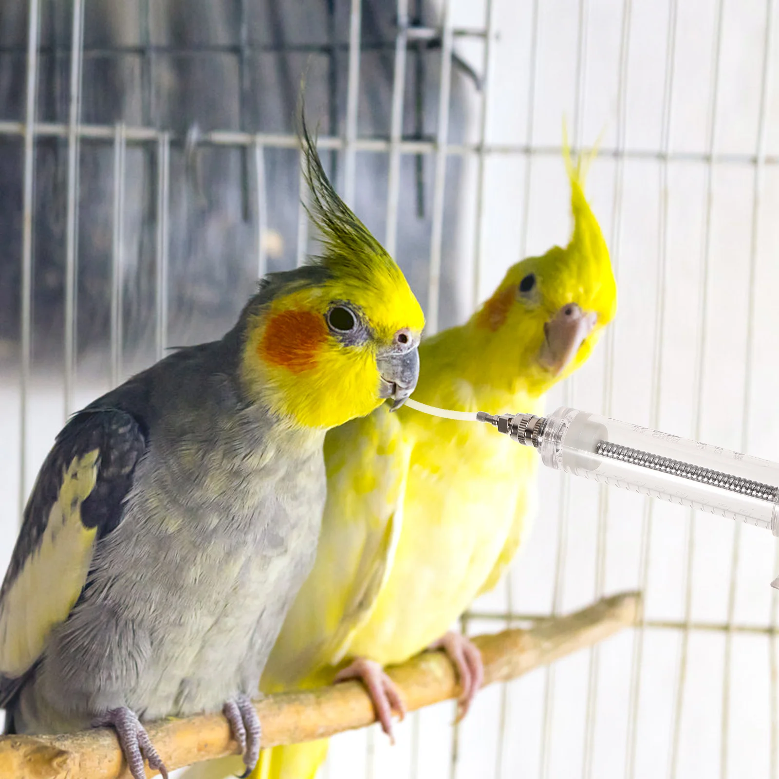 

2 set Syringe For Birds Durable Plastic Bird Feeder Clear Scale Milk Feeding Tube Parrot Pigeon Puppy Pet Feeding Kit