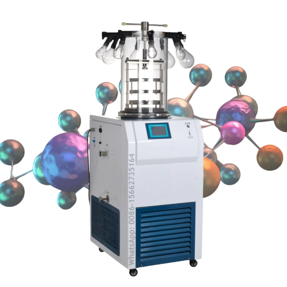 

Lyophilizer Lab Vertical Freeze Dryer Freezing Drying Vacuum Floor Stand Freeze Dryer For Laboratory Biomedical Samples