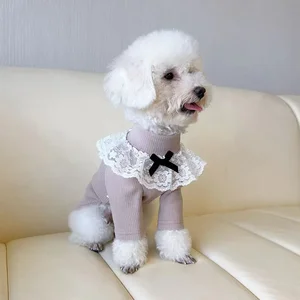 الخريف والشتاء معطف قاعدة عالية الرقبة للكلاب الصغيرة الدانتيل الأليفة ملابس ساقين ملابس صغيرة دمية دب ملابس معطف قاعدة دافئة أفضل 8 ألعاب أفخم الدب الصمغية مبيعا - رقم 7