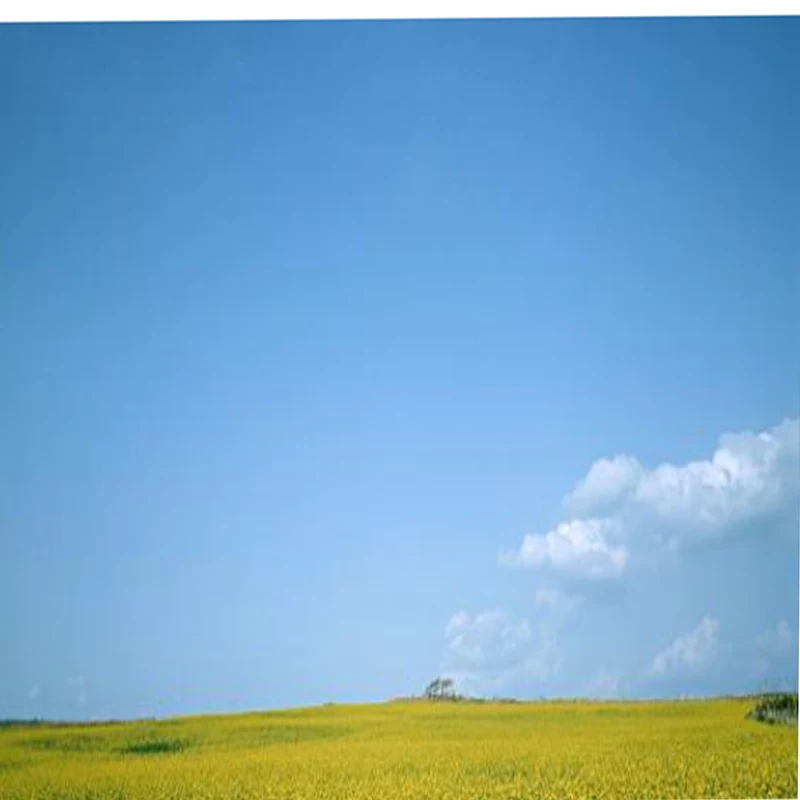 

JX PDI-HV2546MG 25g 6.6kg.cm@7.4V Metal Gear High Voltage Digital Coreless Tail Servo for 450 500 Helicopter Fixed Wing Airplane