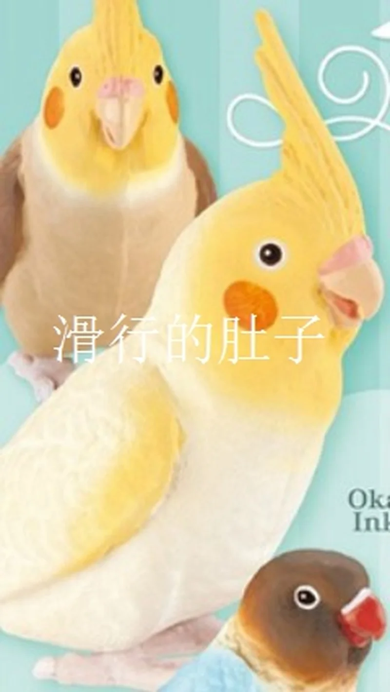 [재고 있음] 일본 샤인-G 긴 꼬리 앵무새 '귀여운 삶' 피규어 - 가샤폰 수집품 Decorb 사랑스러운 새 테마 장난감