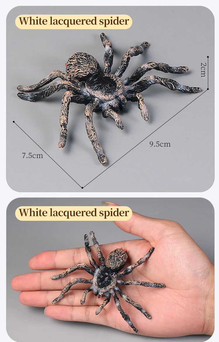 Pädagogische Insekten Spinne Spielzeug Zoo Action Figur Set Tier Welt Wissenschaft Kognitive Lernen Modell Simulation Dekor für Kinder – Detail 10