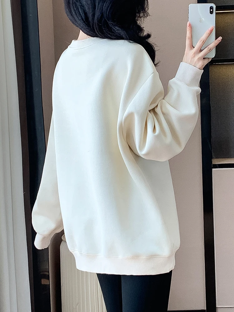 Autumn Winter Embroidered Floral Sweatshirt Women Long Sleeve Loose Casual Boyfriend Tops Pullovers Female 2025 New Beige Jumper