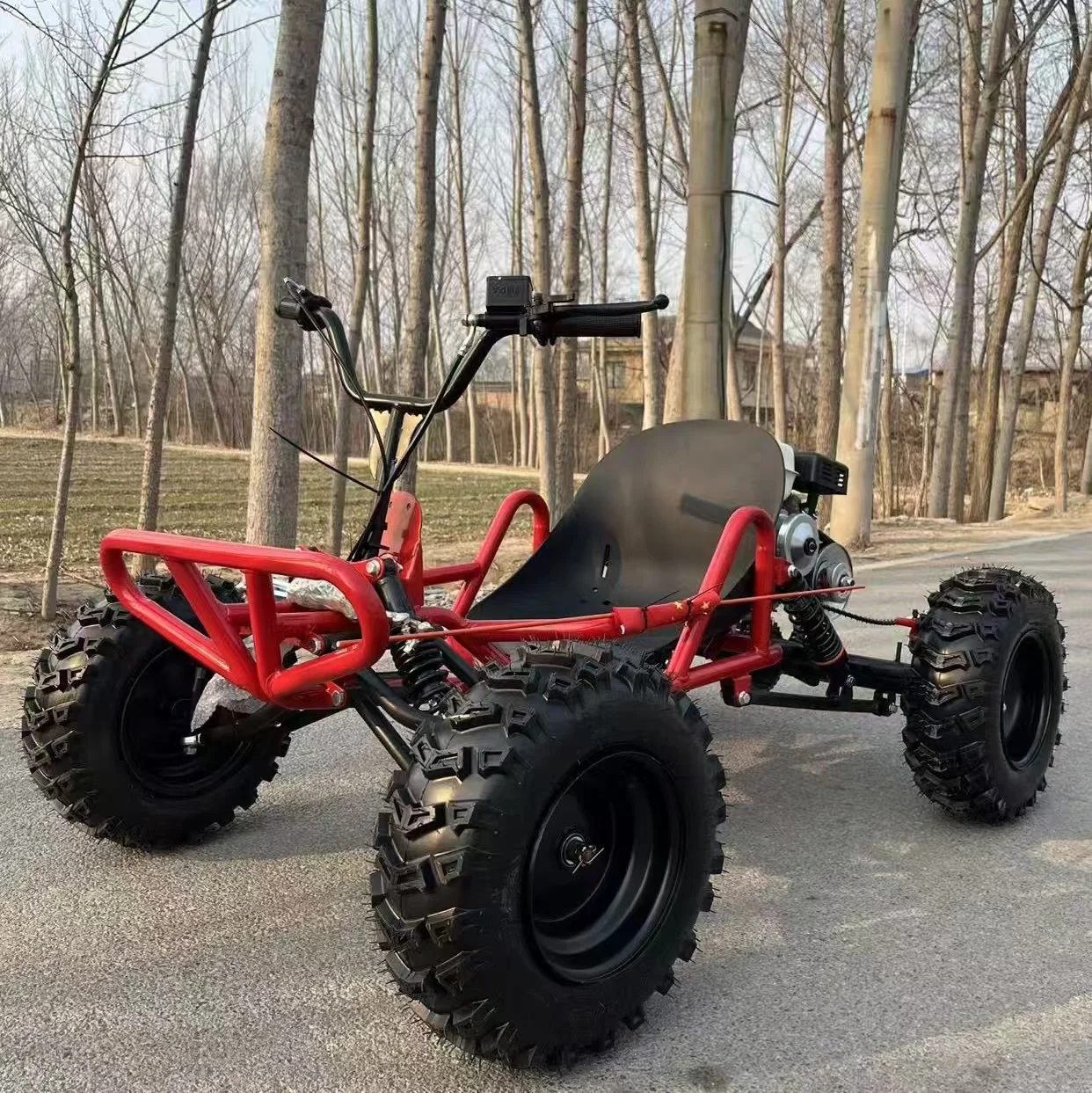 Hot Sale 212cc 4-Stroke Off Road Go Kart, 8 Inch Tires Max 60km/h Long Endurance Design for Kids Adults Outdoor Fun Racing Games view 3